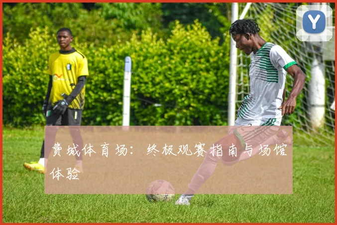 费城体育场:终极观赛指南与场馆体验